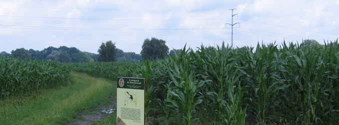 Zicht op het Arresveld, vanaf kruising Grotersweg,  Dollemansweg, en spoorlijn naar Groenlo. F3