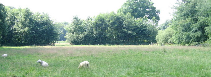 Zicht vanaf Landgoed Mentink, nabij kruising Grotersweg,  spoorlijn naar Groenlo en het oude spoor (nu wandelpad). G2